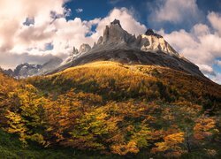 Argentyna, Patagonia, Góry, Masyw, Torres del Paine, Jesień, Chmury, Lasy