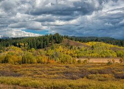 Park Narodowy Grand Teton, Góry, Teton Range, Pole, Drzewa, Chmury, Stan Wyoming, Stany Zjednoczone