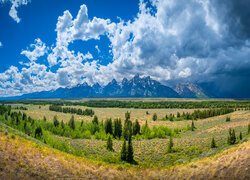 Stany Zjednoczone, Wyoming, Park Narodowy Grand Teton, Równina, Drzewa, Góry, Chmury, Niebo