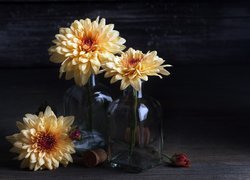 Kwiaty, Chryzantemy, Butelki