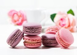 Ciasteczka makaroniki