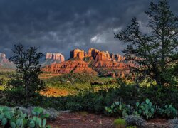 Stany Zjednoczone, Arizona, Sedona, Skały, Cathedral Rock, Drzewa, Chmury, Kaktusy