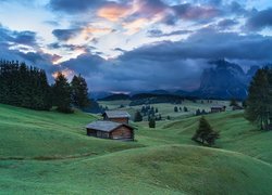 Dolomity, Góry, Sassolungo, Płaskowyż Seiser Alm, Dolina, Val Gardena, Drzewa, Drewniane, Domy, Chmury, Włochy