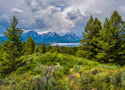 Góry, Drzewa, Jezioro, Chmury, Trawa, Park Narodowy Grand Teton, Stan Wyoming, Stany Zjednoczone