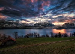 Jezioro Thunersee, Góry, Alpy, Domek, Droga, Drzewa, Chmury, Gmina Sigriswil, Kanton Berno, Szwajcaria