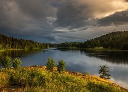 Jezioro Windermere, Obszar Lake District, Kraina Jezior, Kumbria, Anglia, Lasy, Niebo, Chmury