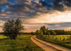 Ciemne chmury nad polną drogą