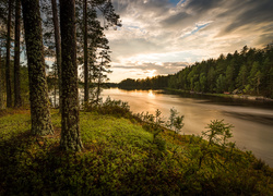 Ciemne chmury nad rzeką w lesie