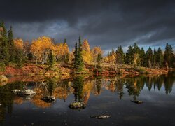 Ciemne niebo nad jesiennym lasem i jeziorem