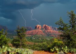 Stany Zjednoczone, Arizona, Sedona, Skały, Cathedral Rock, Chmury, Pioruny, Błyskawice, Drzewa, Kaktusy