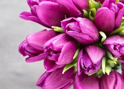Ciemnoróżowe tulipany