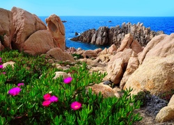 Costa Paradiso na północnym wybrzeżu Sardynii