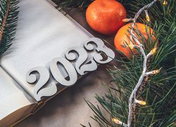 Nowy Rok, Cyfry, 2023, Girlanda, Światełka, Owoce, Mandarynki, Gałązki, Książka