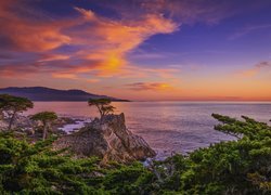 Skały, Drzewa, Cyprysy, Zachód słońca, Pebble Beach, Atrakcja, Lone Cypress, Zatoka Monterey, Morze, Kalifornia, Stany Zjednoczone