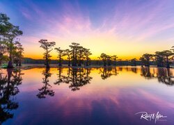 Jezioro, Caddo Lake, Drzewa, Cyprysy, Wschód słońca, Stan Teksas, Stany Zjednoczone