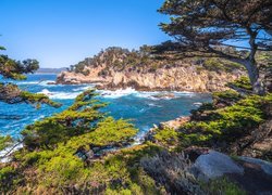 Morze, Skały, Drzewa, Cyprysy, Rezerwat przyrody, Point Lobos, Kalifornia, Stany Zjednoczone