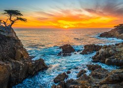 Cyprys wielkoszyszkowy, Atrakcja Lone Cypress, Skała, Morze, Zachód słońca, Pebble Beach, Zatoka, Carmel Bay, Kalifornia, Stany Zjednoczone
