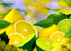 Cytryny obok limonek i winogron
