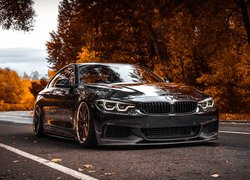 Czarne, BMW M4 F82, Droga, Jesienne, Drzewa