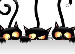 Czarne koty w 2D