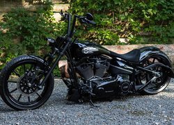 Czarny Harley Davidson