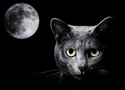 Czarny kot i księżyc w 2D