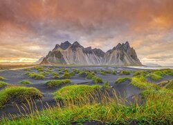 Czarny piasek i trawa na plaży na tle góry Vestrahorn pod kolorowym niebem