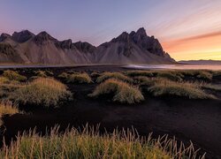Czarny piasek i trawa na plaży z widokiem na górę Vestrahorn w Islandii