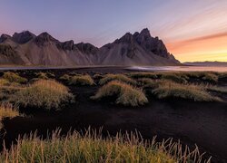 Islandia, Góry, Góra Vestrahorn, Plaża, Czarny, Piasek, Trawa, Kępki