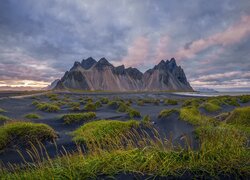 Czarny piasek i trawa na plaży z widokiem na górę Vestrahorn