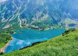 Góry, Tatry, Jezioro, Czarny Staw Gąsienicowy, Wzgórze, Trawa, Polska