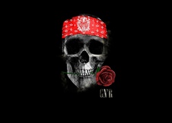 Grafika 2D, Guns N’ Roses