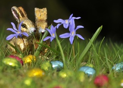 Czekoladowe zajączki i jajeczka pośród kwiatów cebulicy w trawie