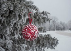 Czerwona bombka na oszronionej gałązce jodły