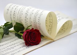 Kwiat, Róża, Czerwona, Nuty, Zapis, Melodia, Muzyka