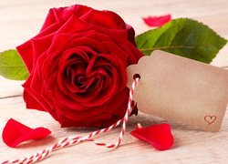 Czerwona, Róża, Karteczka