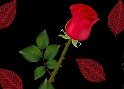 Czerwona róża z liśćmi