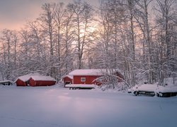 Czerwone domy w zimowym lesie