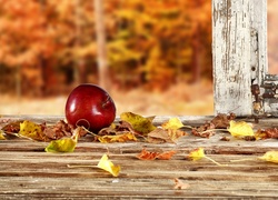 Czerwone jabłko na parapecie wśród jesiennych liści