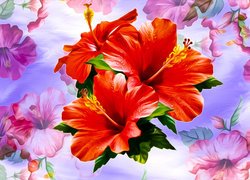 Czerwone kwiaty hibiskusa