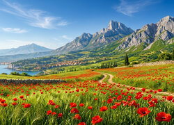 Pole, Maki, Murek, Jezioro, Góry, Papaver rhoeas, Maki polne, Droga, Niebo