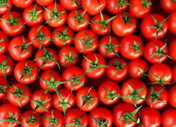 Pomidory, Czerwone, Dojrzałe