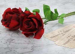 Kwiaty, Róże, Czerwone, Bilety