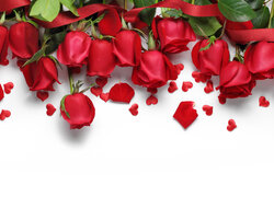 Czerwone róże z wstążką i serduszka na białym tle