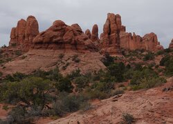 Czerwone, Skały, Rośliny, Park Narodowy Arches, Stan Utah, Stany Zjednoczone