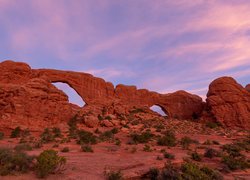 Skały, Park Narodowy Arches, Krzewy, Utah, Stany Zjednoczone