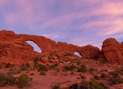 Skały, Park Narodowy Arches, Krzewy, Utah, Stany Zjednoczone