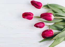 Czerwone tulipany na desce
