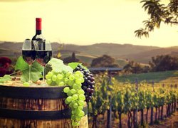 Czerwone wino w kieliszkach i butelka obok kiści winogron na beczce