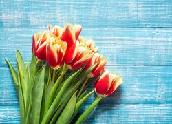 Kwiaty, Bukiet, Tulipany, Czerwono żółte, Deski niebieskie, Kartka okolicznościowa